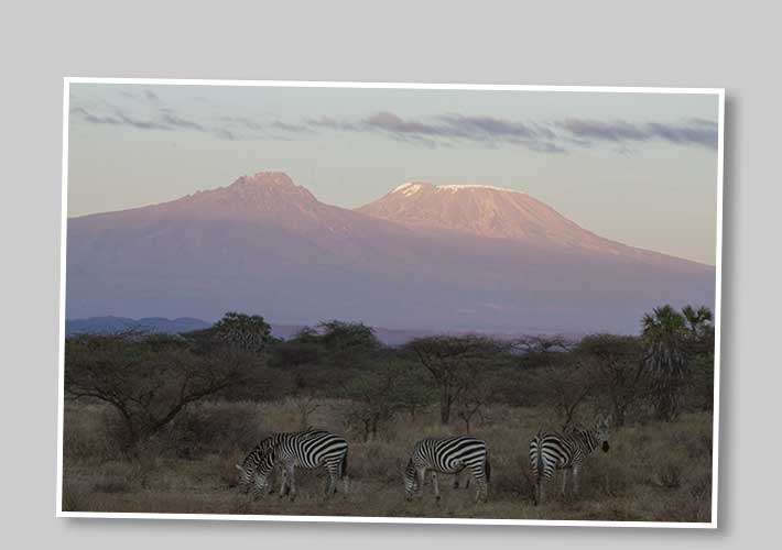 Kilimanjaro